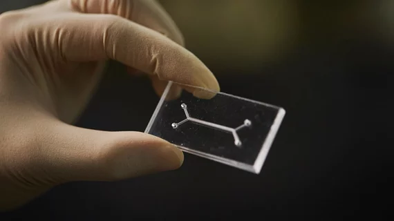 Organs on chips